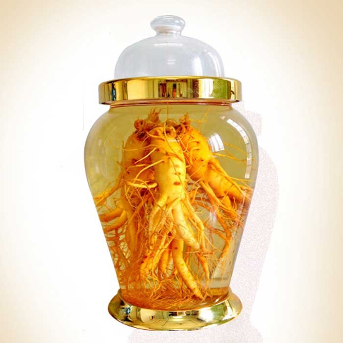 Bình thủy tinh được sử dụng để ngâm dược liệu quý Bình thủy tinh được sử dụng để ngâm dược liệu quý