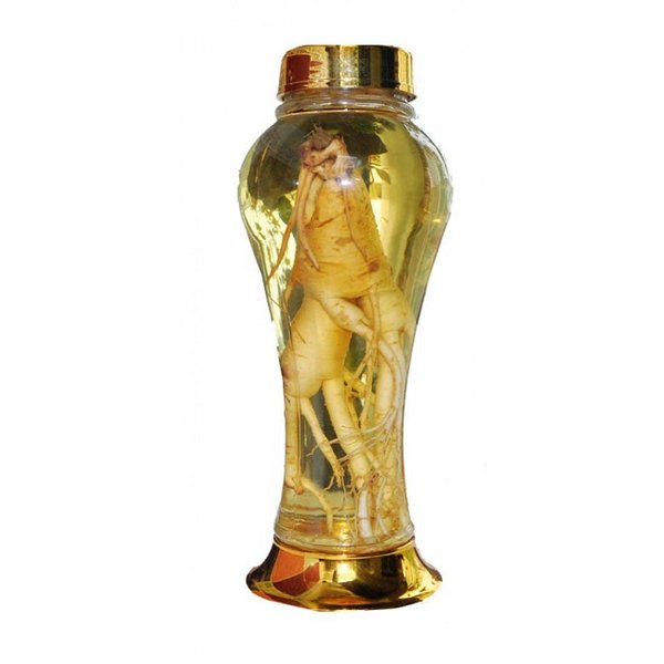 Bình thủy tinh ngâm rượu đẹp và đảm bảo chất lượng Bình thủy tinh ngâm rượu đẹp và đảm bảo chất lượng