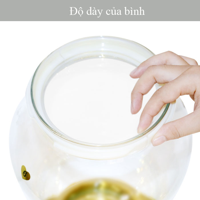 Bình thủy tinh YC–18L K113 7 Bình thủy tinh YC–18L K113 7